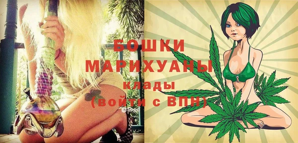 прущие грибы Нягань