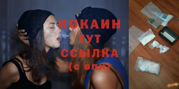 кокс Няндома