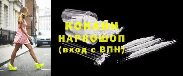 кокс Няндома