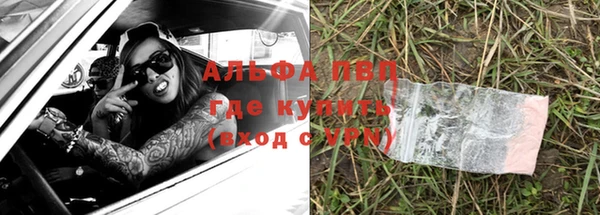 прущие грибы Нягань