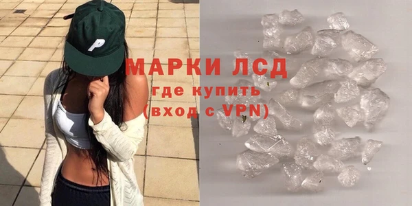 прущие грибы Нягань