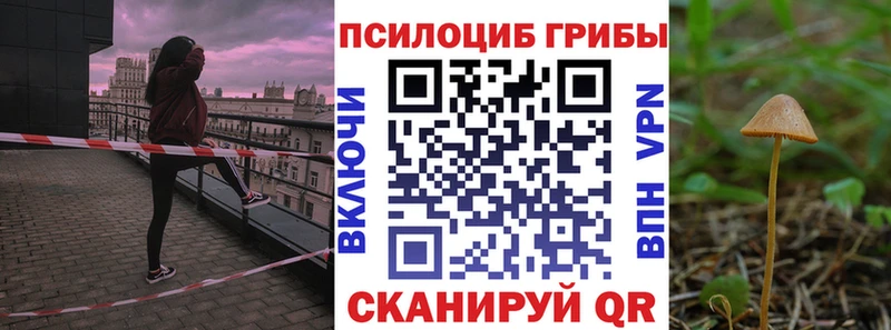 купить   Щёкино  Галлюциногенные грибы Cubensis 