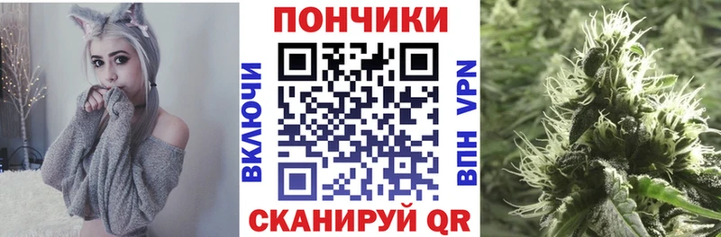 что такое   Щёкино  hydra   Каннабис план 